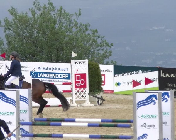 Reitturnier Wädenswil 2023