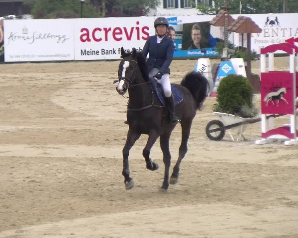 Reitturnier Wädenswil 2023