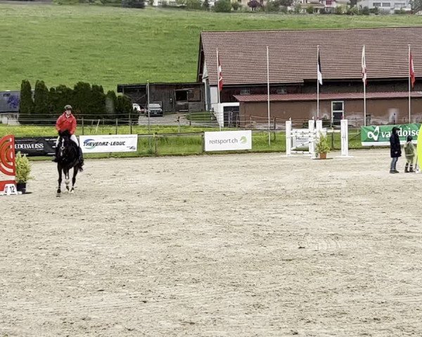 Reitturnier Marsens 2023