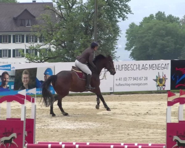 Reitturnier Wädenswil 2023