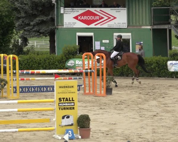 Reitturnier Bornheim Widdig 2023