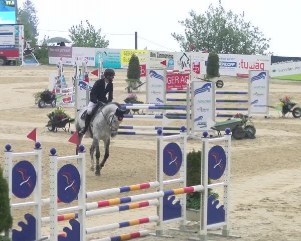 Reitturnier Wädenswil 2023