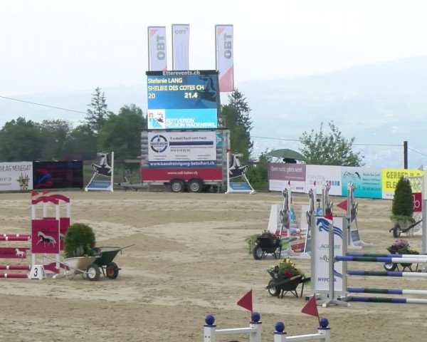 Reitturnier Wädenswil 2023