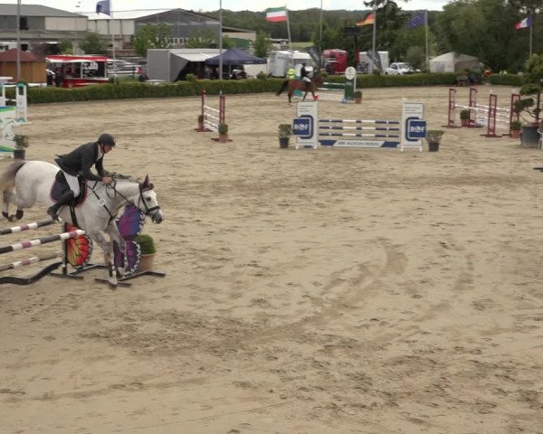 Reitturnier Bornheim Widdig 2023