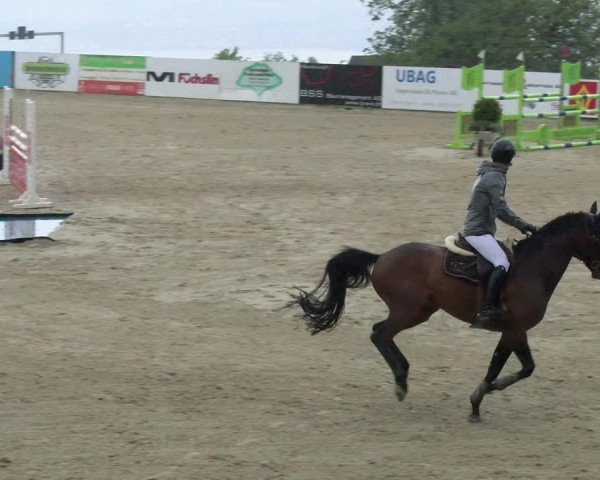 Reitturnier Wädenswil 2023