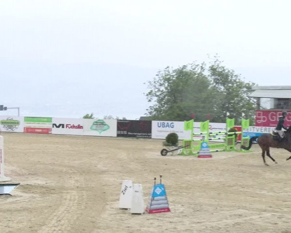 Reitturnier Wädenswil 2023