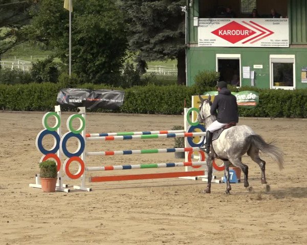 Reitturnier Bornheim Widdig 2023