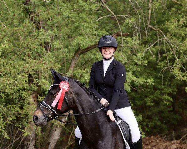 dressage horse Belle Coeur 4 (Hanoverian, 2016, from Bon Coeur)