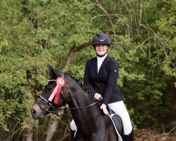 dressage horse Belle Coeur 4 (Hanoverian, 2016, from Bon Coeur)