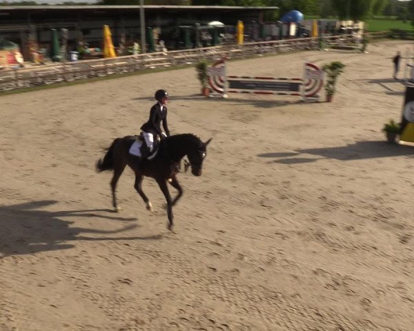 Reitturnier Kirchhellen 2023