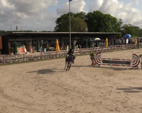 Reitturnier Kirchhellen 2023