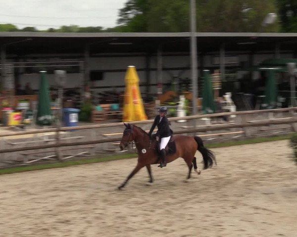 Reitturnier Kirchhellen 2023