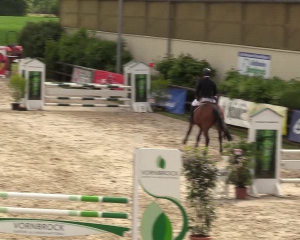 Reitturnier Kirchhellen 2023