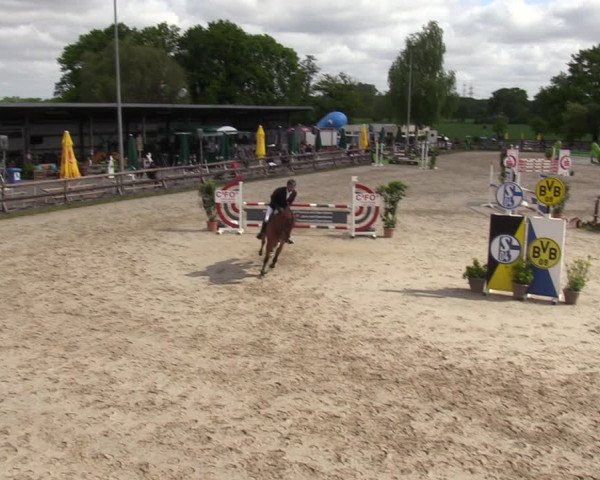 Reitturnier Kirchhellen 2023