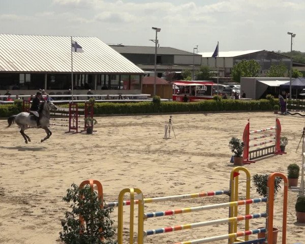 Reitturnier Bornheim Widdig 2023