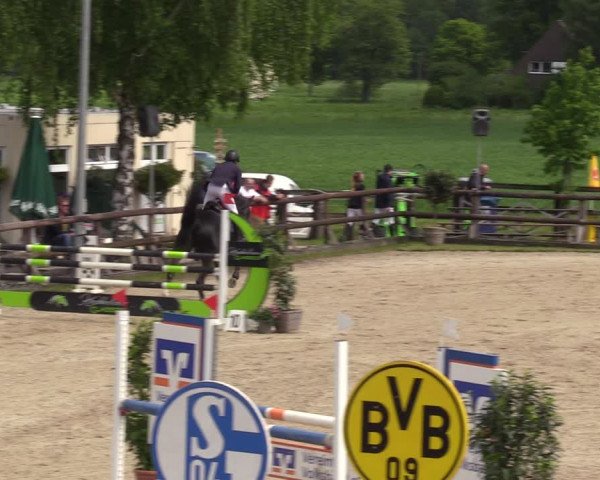 Reitturnier Kirchhellen 2023
