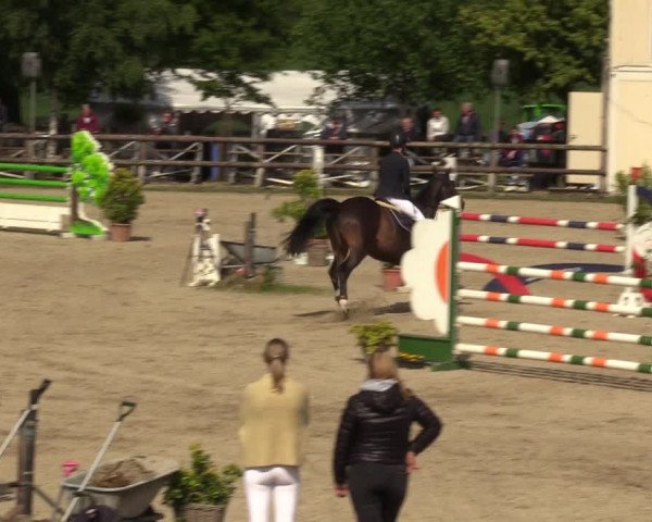 Reitturnier Kirchhellen 2023