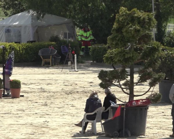 Reitturnier Bornheim Widdig 2023