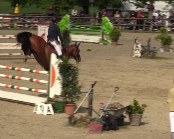 Reitturnier Kirchhellen 2023