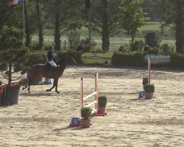 Reitturnier Bornheim Widdig 2023
