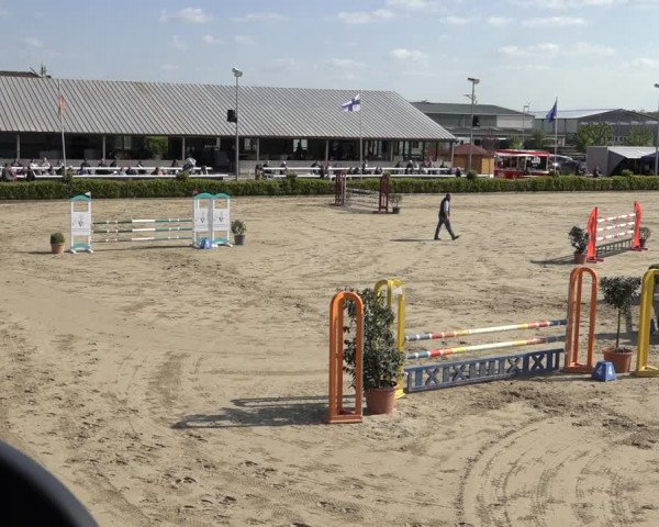 Reitturnier Bornheim Widdig 2023