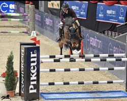 jumper HUDALMA (KWPN (Royal Dutch Sporthorse), 2012, from Baltic VDL)