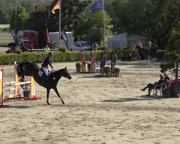 Reitturnier Bornheim Widdig 2023