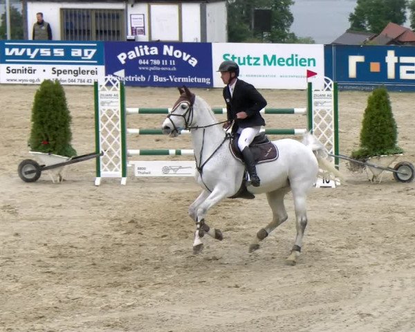 Reitturnier Wädenswil 2023