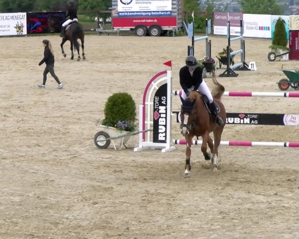 Reitturnier Wädenswil 2023