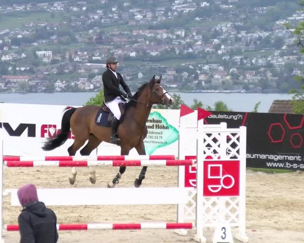 Reitturnier Wädenswil 2023
