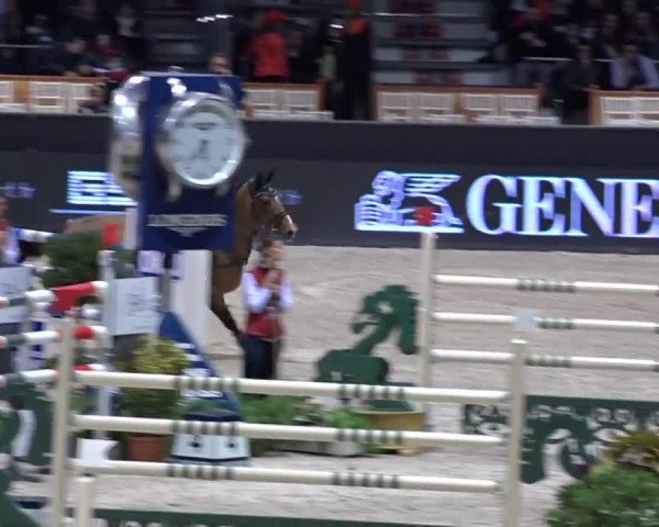 FEI Reitturnier Bordeaux (FRA) 2016