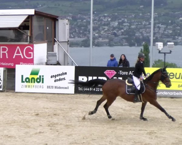 Reitturnier Wädenswil 2023