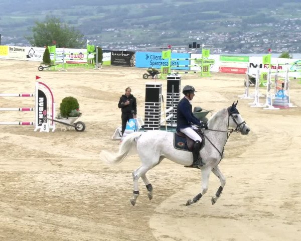 Reitturnier Wädenswil 2023