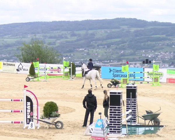 Reitturnier Wädenswil 2023