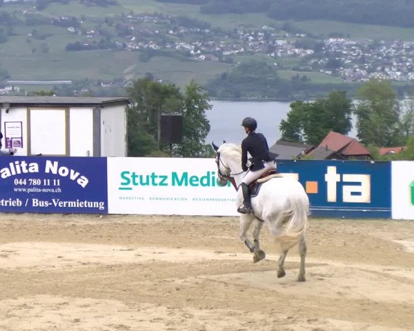 Reitturnier Wädenswil 2023