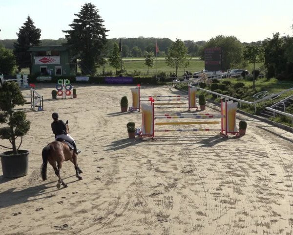 Reitturnier Bornheim Widdig 2023