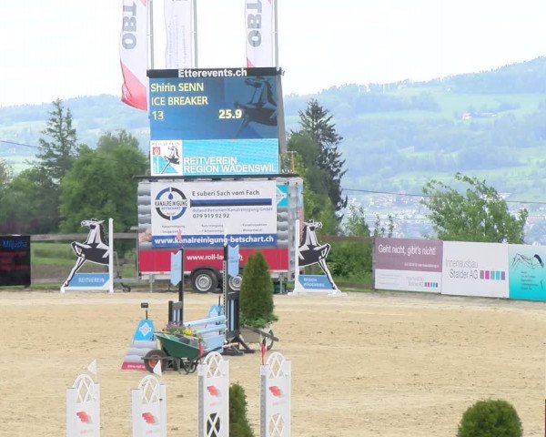 Reitturnier Wädenswil 2023