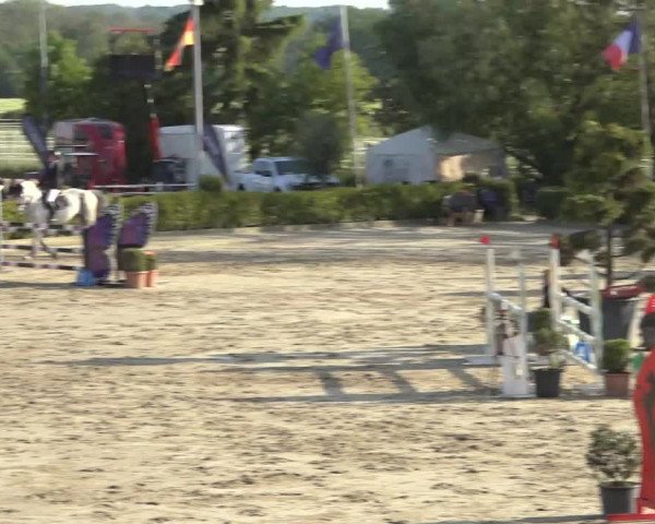 Reitturnier Bornheim Widdig 2023