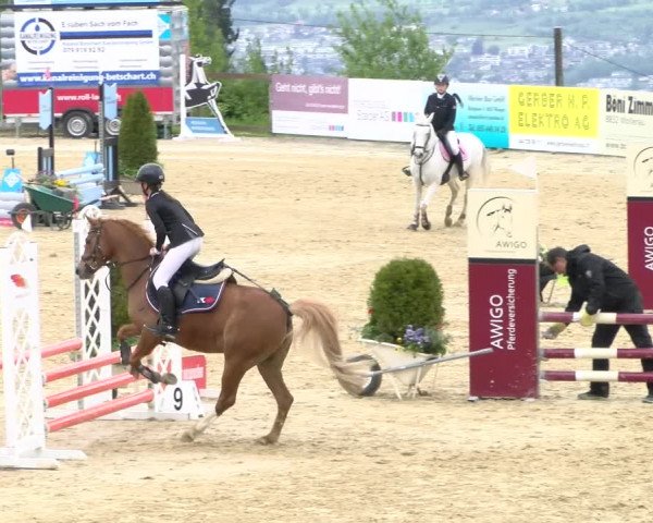 Reitturnier Wädenswil 2023