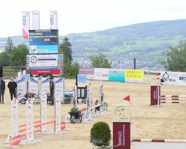 Reitturnier Wädenswil 2023