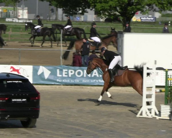 Reitturnier Hamm- Rhynern 2023