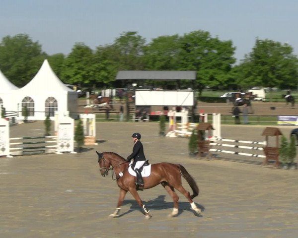 Reitturnier Hamm- Rhynern 2023