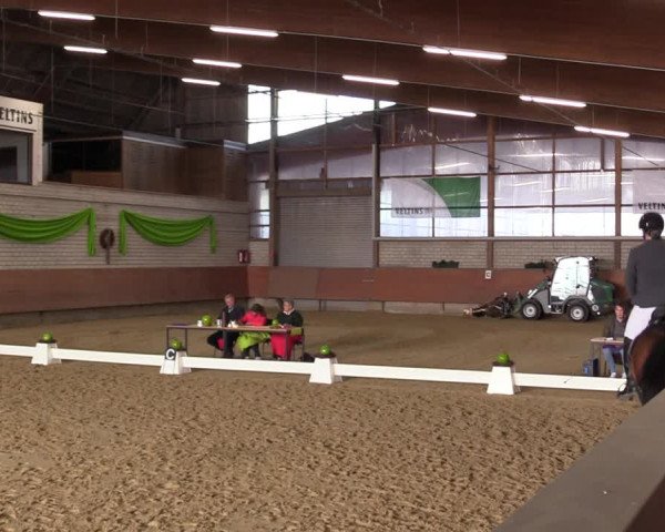 Reitturnier Hellefeld 2023