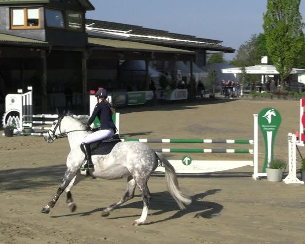 Reitturnier Hellefeld 2023