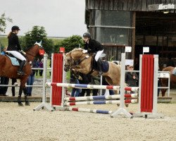 dressage horse Puccini 94 (German Riding Pony, 2003)