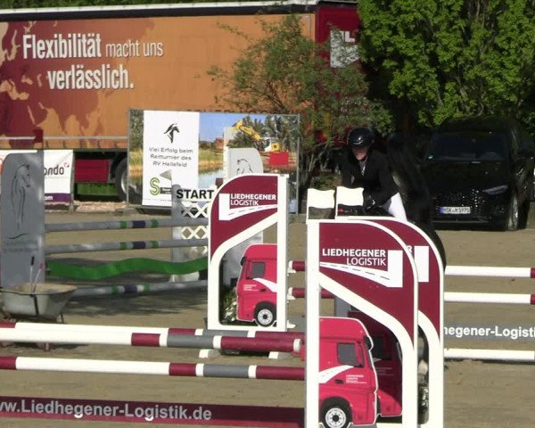 Reitturnier Hellefeld 2023