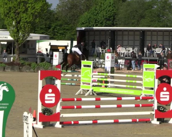 Reitturnier Hellefeld 2023
