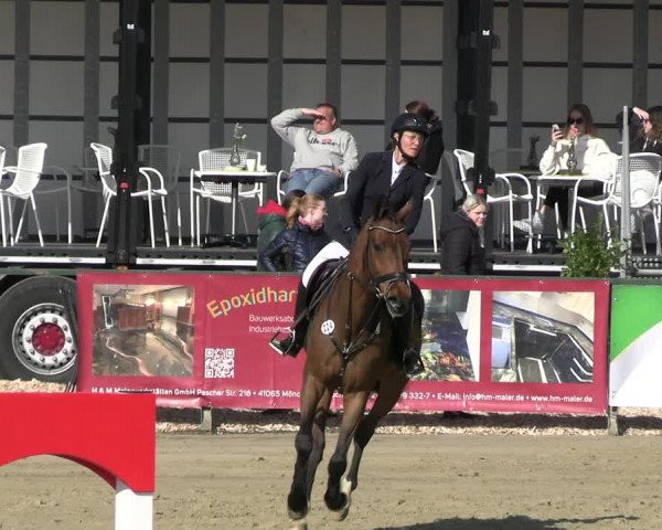 Reitturnier Hellefeld 2023