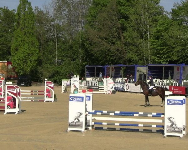Reitturnier Hellefeld 2023