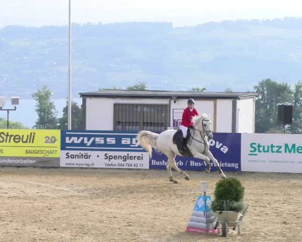 Reitturnier Wädenswil 2023